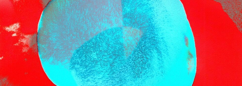 Helado Negro – Protector