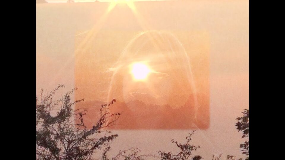 herbal tea – Driving Slow