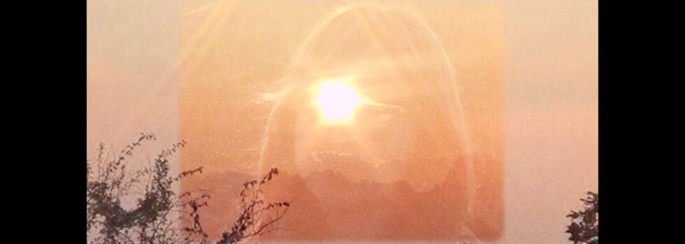 herbal tea – Driving Slow