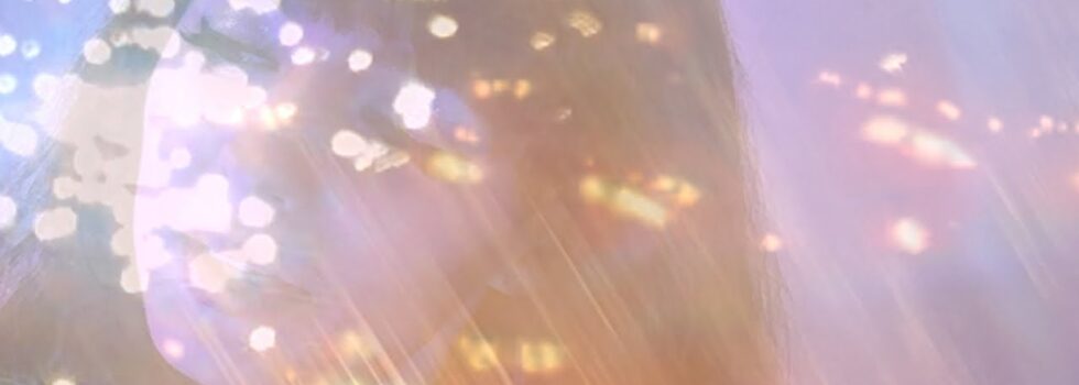 Jenny on Holiday – Dolphins