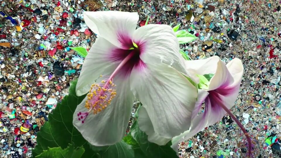 Kety Fusco – Resistance