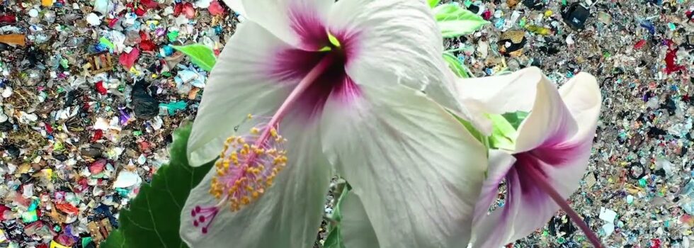 Kety Fusco – Resistance