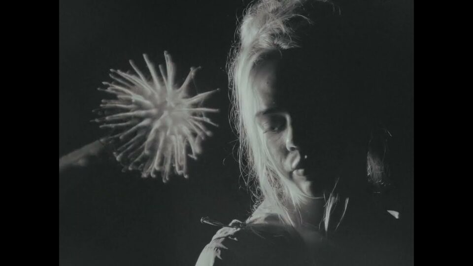 Lemondaze – o(type)