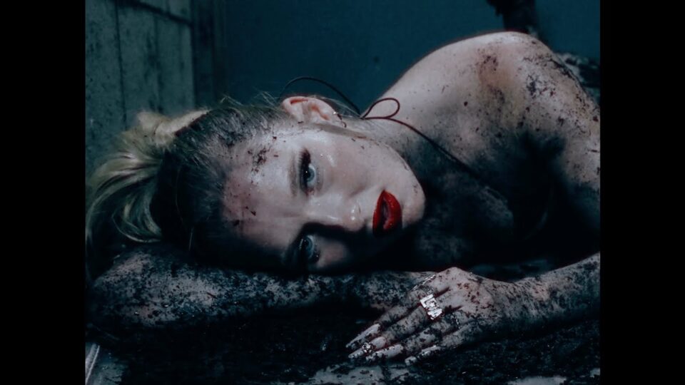 Lilyisthatyou – CANADIAN IDOL