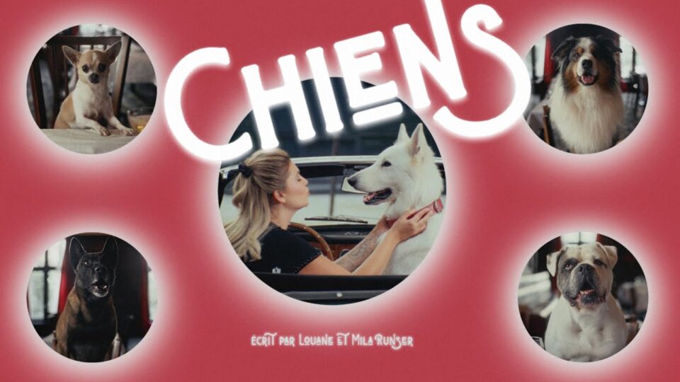 Louane – Chiens