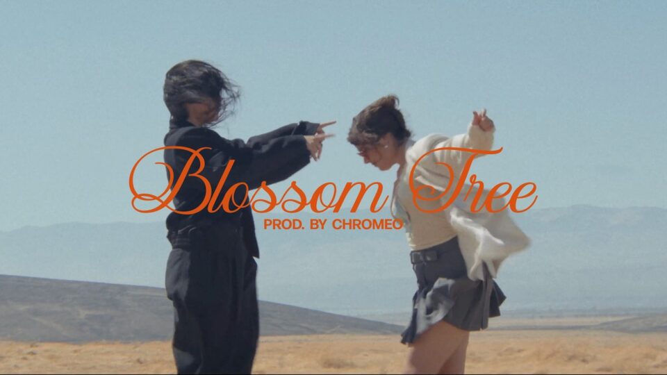 Milk & Bone – Blossom Tree