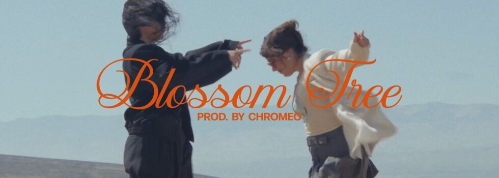 Milk & Bone – Blossom Tree