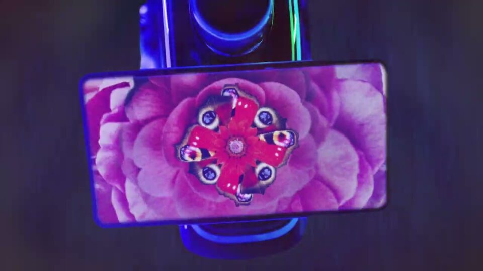 Milky Chance – Jasmin Skin