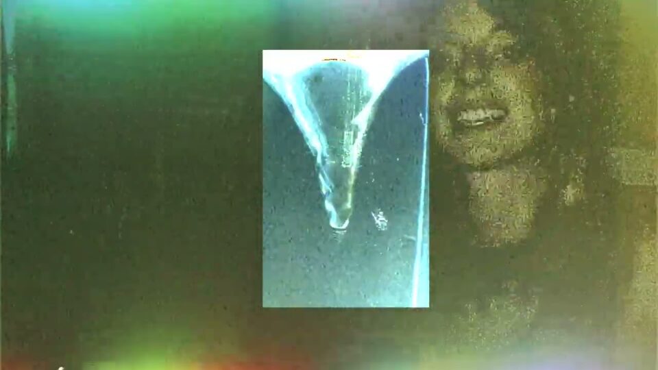 Nuclear Daisies – Infinite Joy