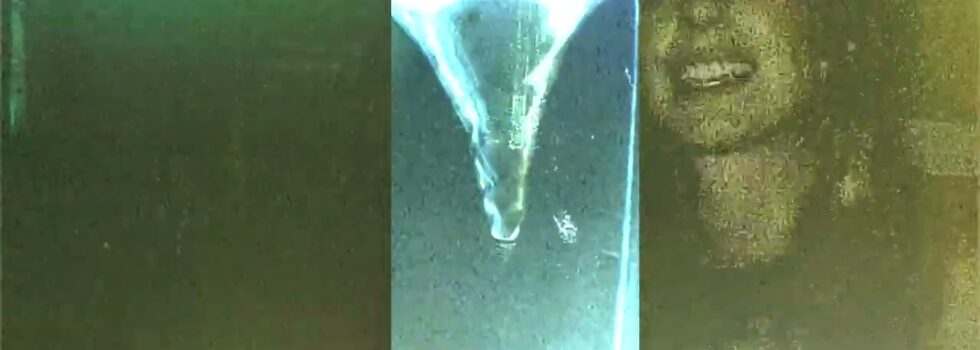 Nuclear Daisies – Infinite Joy