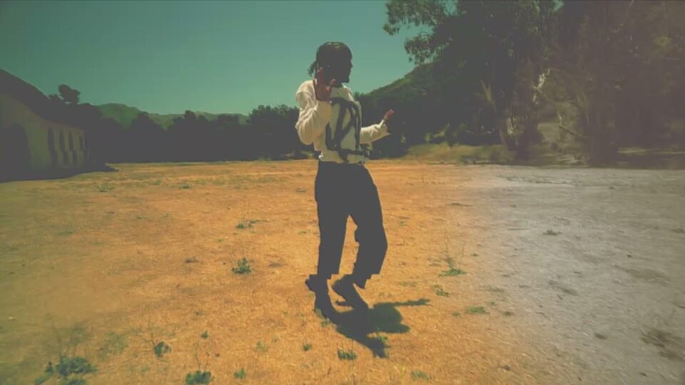 Nuclear Daisies – Toad