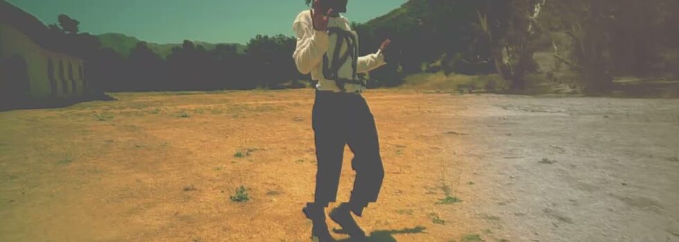 Nuclear Daisies – Toad