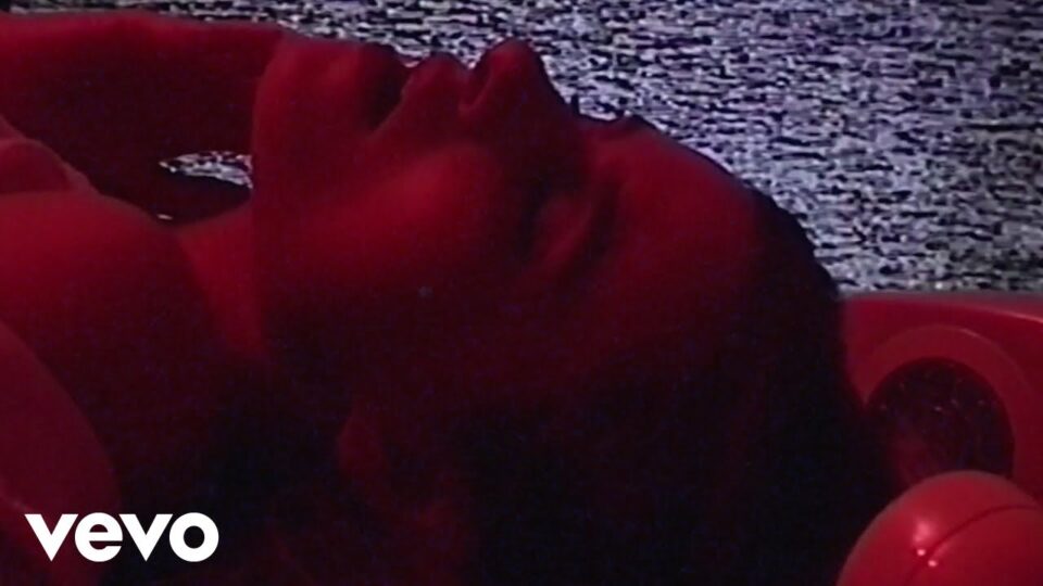 Rosie Carney – The Evidence