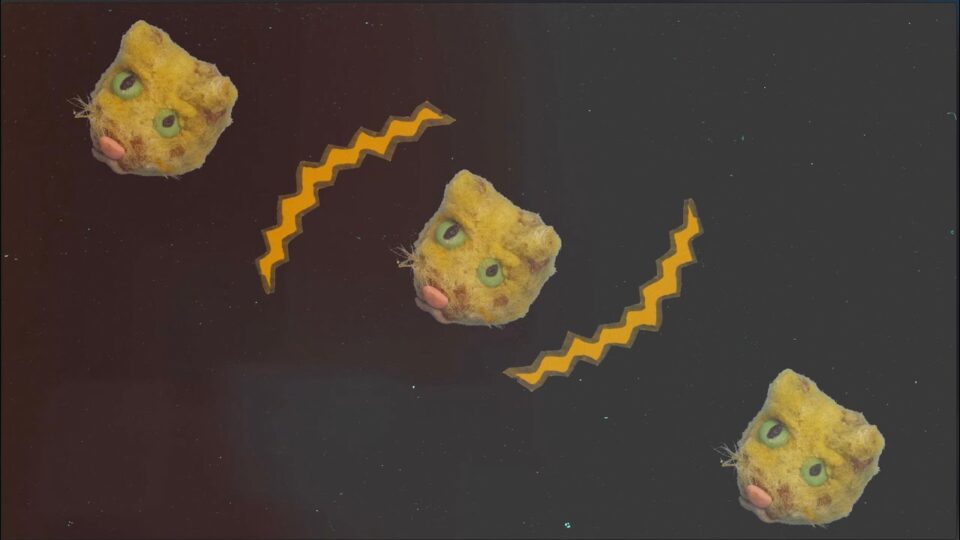 Ruby Waters – CAT SONG