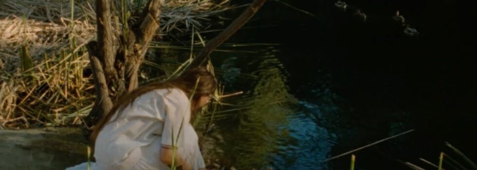 runo plum – Pond