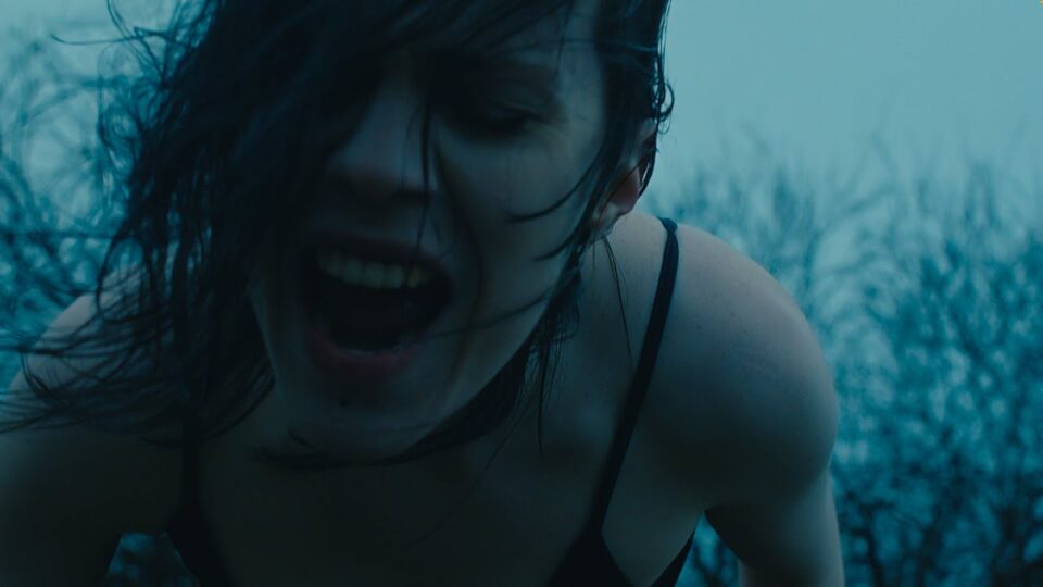 Shedfromthebody – Sungazer