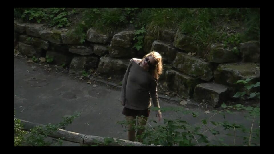 Snake Orange Cake – Hair