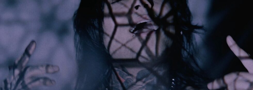 Stain The Canvas – The Light Within