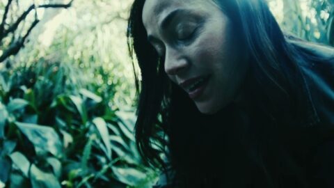 Stick to Your Guns – Keep Planting Flowers