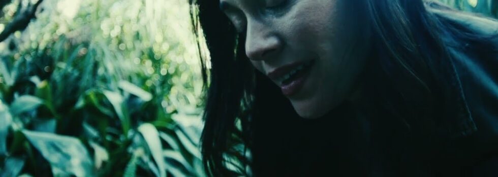 Stick to Your Guns – Keep Planting Flowers