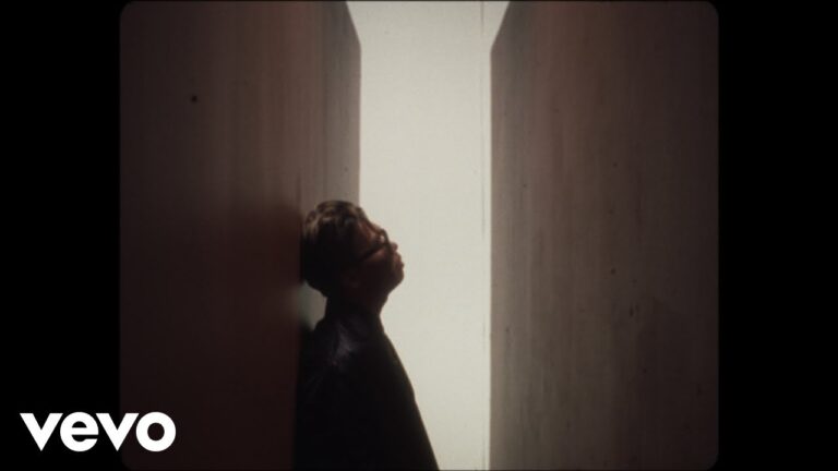 ZHU, DeVault & Baby Jake – Revelations music video