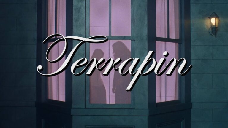 Clairo – Terrapin music video