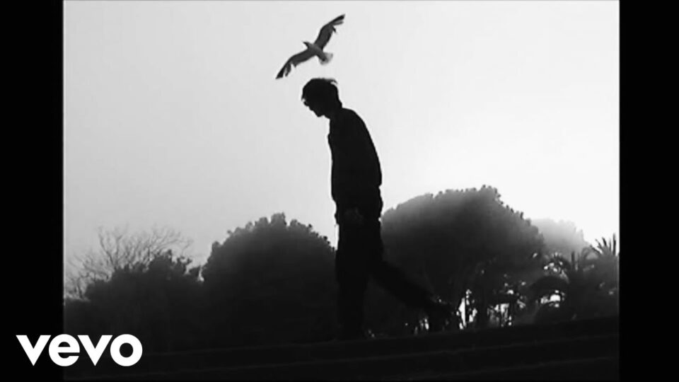 The Horrors – LA Runaway