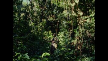 Tayo Rapoport anaiis