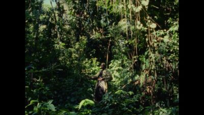 anaiis – Deus Deus