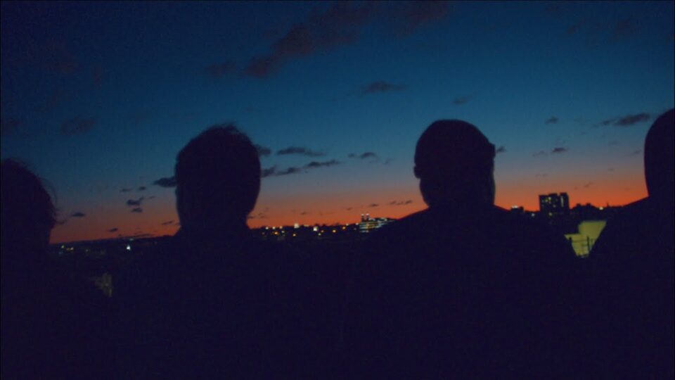 Mild Orange – One