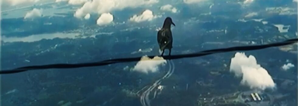 Annahstasia – Sunday