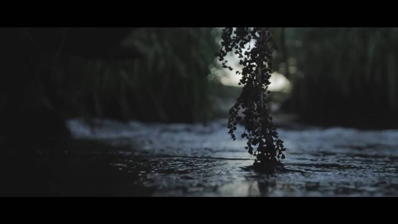 Bedroom – We All Need Something (feat. Jade Lawhon)