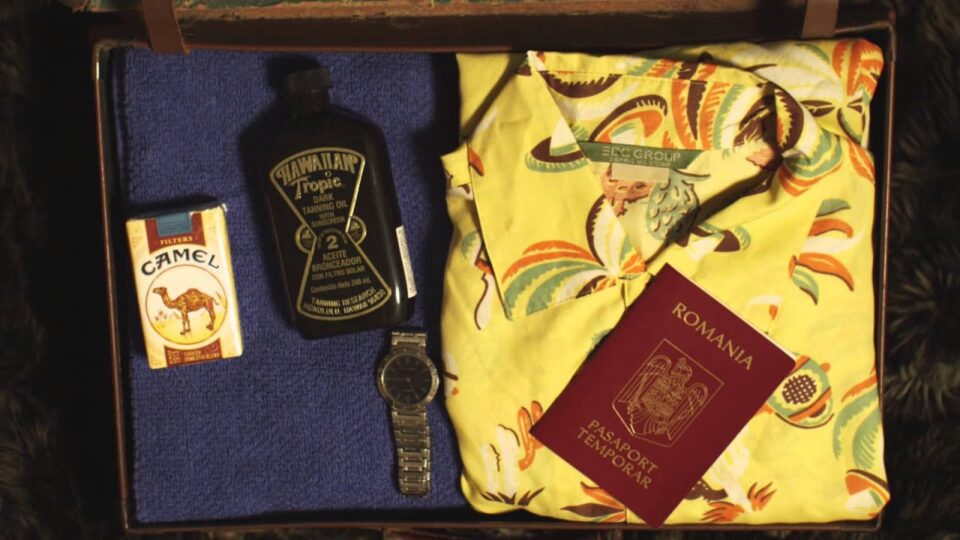 Vance Joy – Riptide