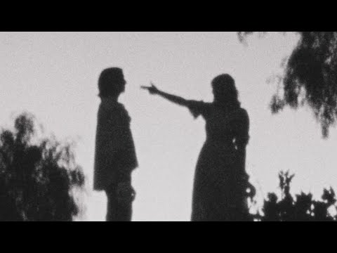 Baby Bugs – The Dove