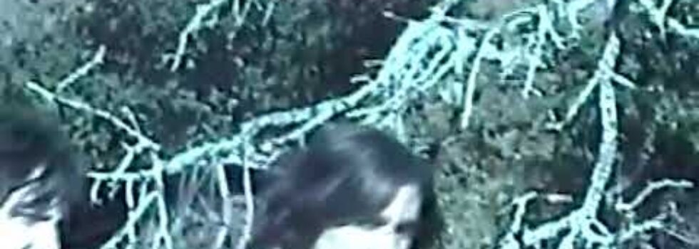 Cindy – Procession