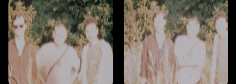 Cola – Hedgesitting