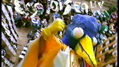 CRACHE – Ces Oiseaux