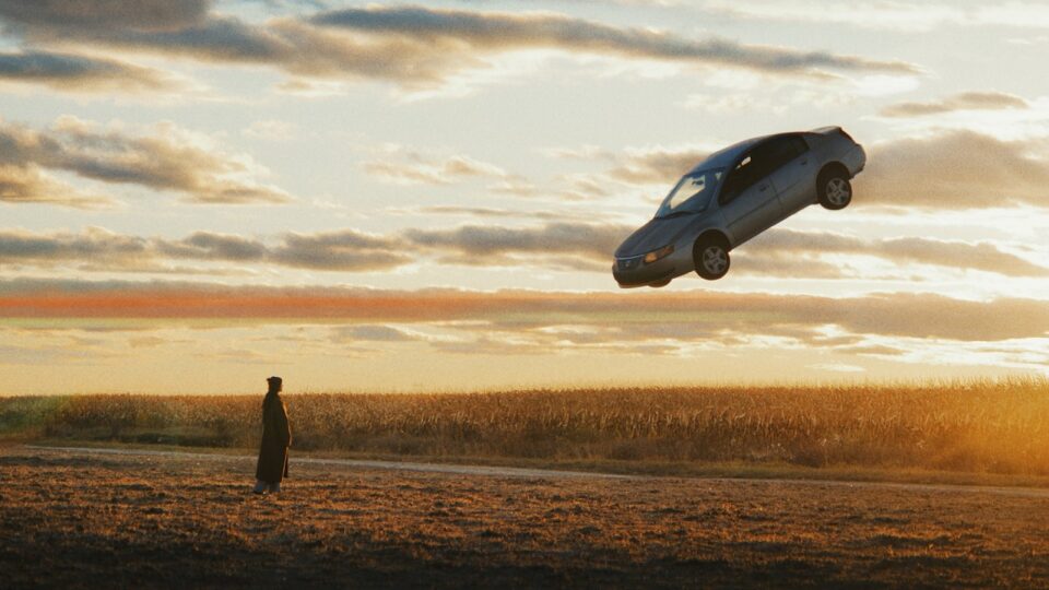 Daniela Andrade – steer