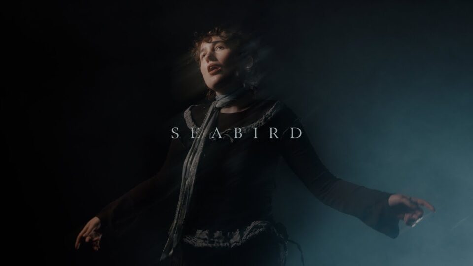 deary – Seabird