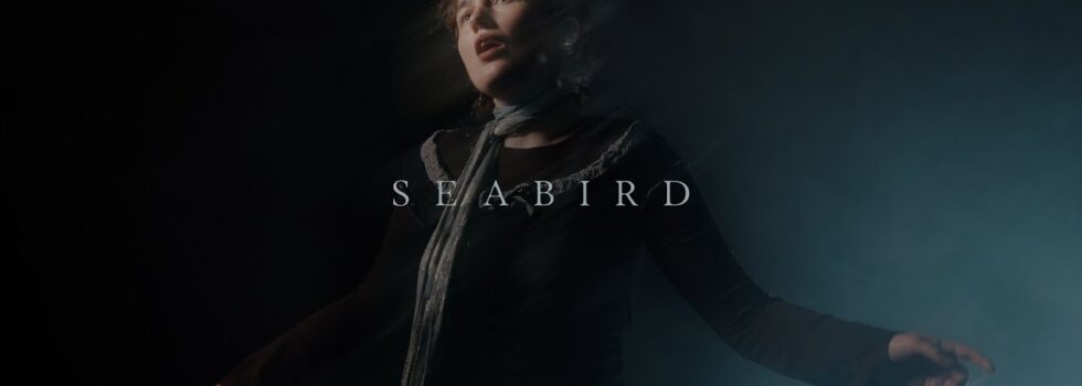 deary – Seabird