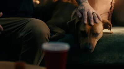 Dirty Heads – One of Those Days