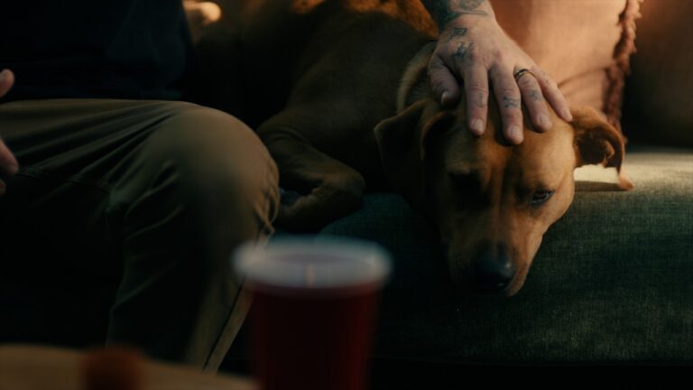 Dirty Heads – One of Those Days music video