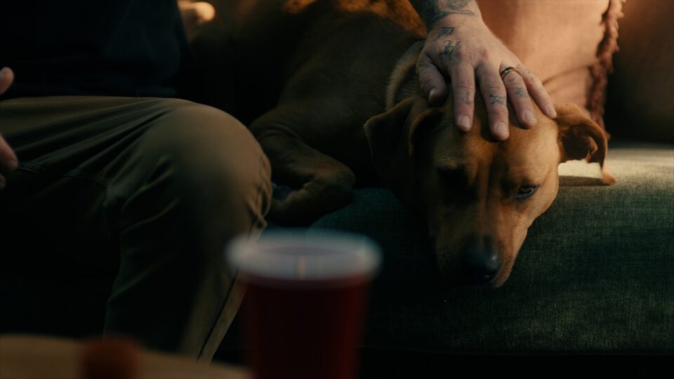 Dirty Heads – One of Those Days