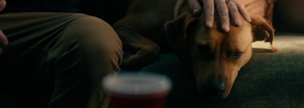 Dirty Heads – One of Those Days