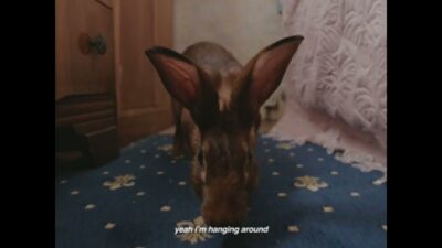 Florence Road – Hanging Out To Dry