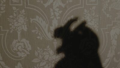 Florence Road – Rabbits Can Swim