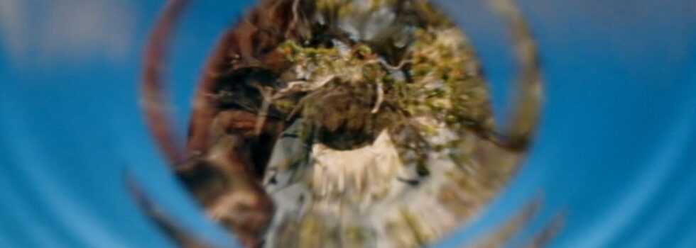 Green-House – Farewell, Little Island