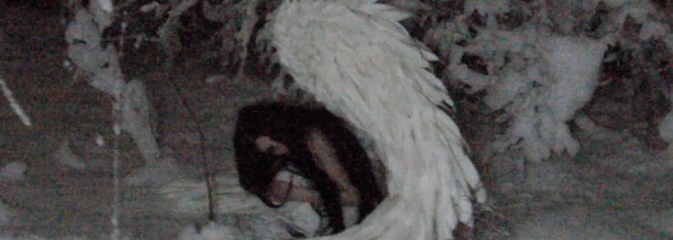 Ashley Sienna – ICY ICY