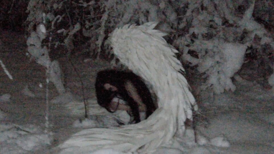 Sub Urban – What You Sow