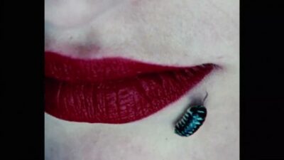 LEEAAV – Flashbacks (Feat. Pinky Promise)